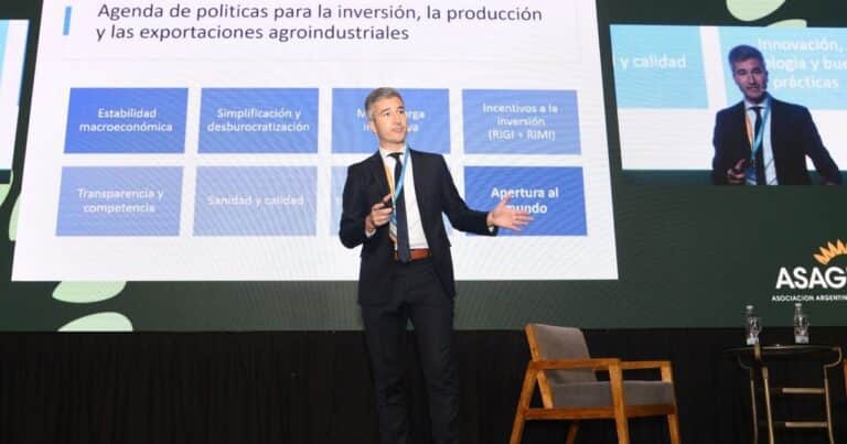 El girasol quiere ser “la estrella” pero enfrenta desafíos para consolidar su crecimiento