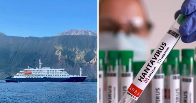Hantavirus: qué es el virus de los Andes y cuál es el riesgo para la población
