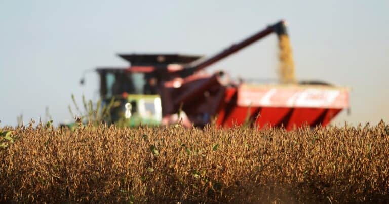 Tras el anuncio de la baja de retenciones a partir de 2027: ¿Cuánta soja ya vendieron los productores y cómo van a vender en los próximos meses?