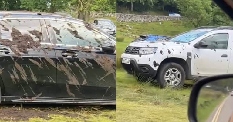 Cansado de que estacionen en su campo, un granjero roció de estiércol decenas de autos de lujo