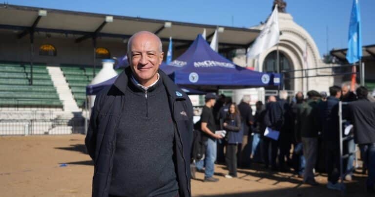 Angus y el potencial de la cadena de la carne
