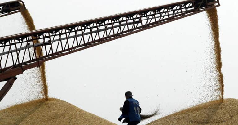 China reactivó sus compras y el maíz argentino alcanza un récord histórico de embarques
