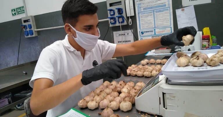 Apostaron por un producto desconocido y crearon su propia marca saludable