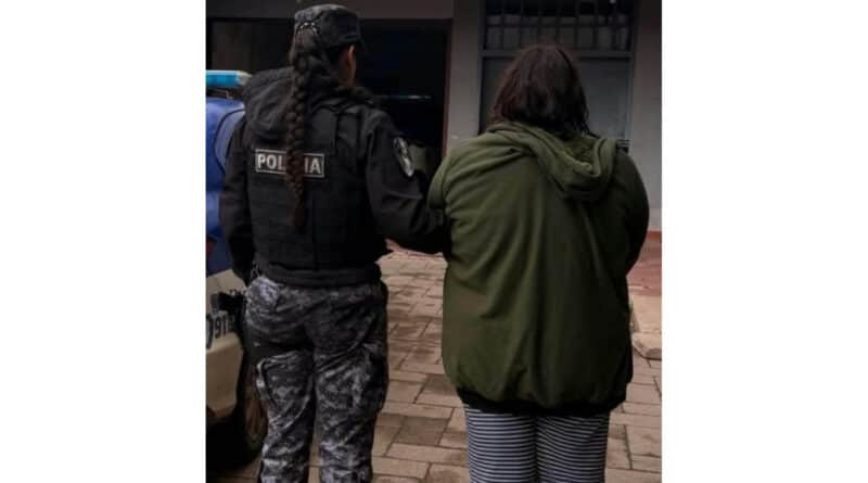 Barrio Las Violetas – Violencia – Agredió con un palo de piso a su abuela y a su hijo, quedó detenida