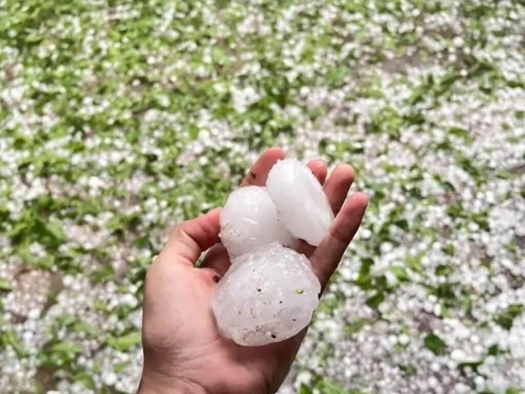 Alertas meteorológicas tempranas por eventos extremos relacionados a El Niño