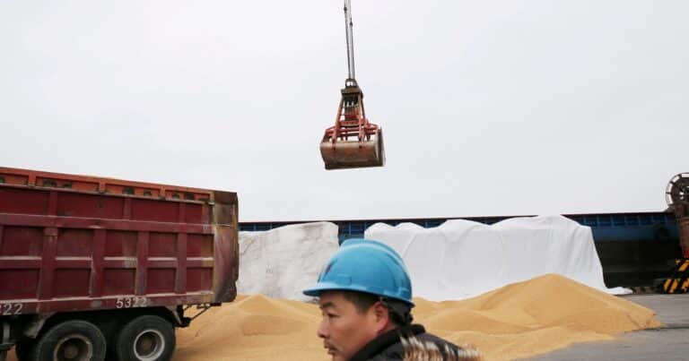 China rompió un récord en las importaciones de soja por la guerra comercial con Estados Unidos: el impacto en la Argentina