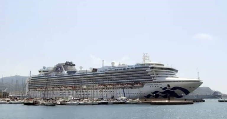 Horror en un crucero: un pasajero vio cinco cuerpos en el mar y desplegaron un operativo con un trágico final
