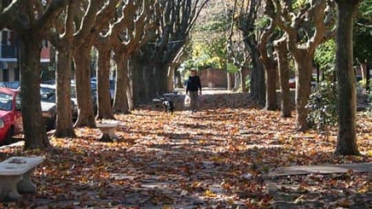 Clima en Ciudad de Buenos Aires este sábado: tarde templada y ambiente agradable antes del cambio