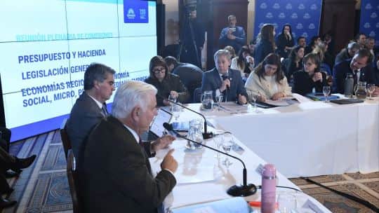 El proyecto de Vischi: cómo impactaría el RIIR en las economías regionales