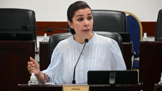 El Frente Chaqueño rompió con la diputada massista que apoyó la suspensión de las PASO