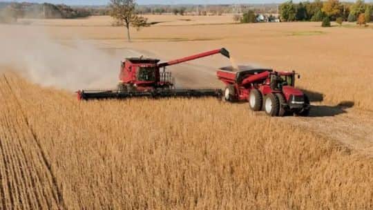 Escenario favorable en el mercado de commodities: “Argentina está competitiva en todo este contexto internacional”