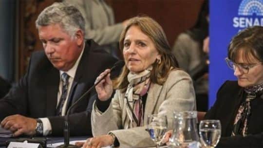 Zona Frías (en los bolsillos): LLA logró dictamen del Senado para eliminar descuentos en facturas de gas