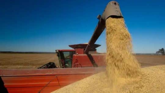 Antonela Semadeni analizó en RDEco la carga impositiva del agro: “Más de la mitad, o sea, el 55%, son retenciones”