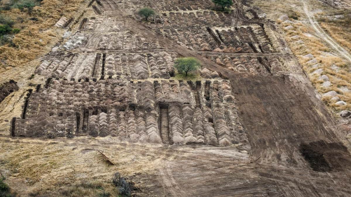 La tierra habla: piden muestras de ADN para identificar 30 víctimas en Loma del Torito
