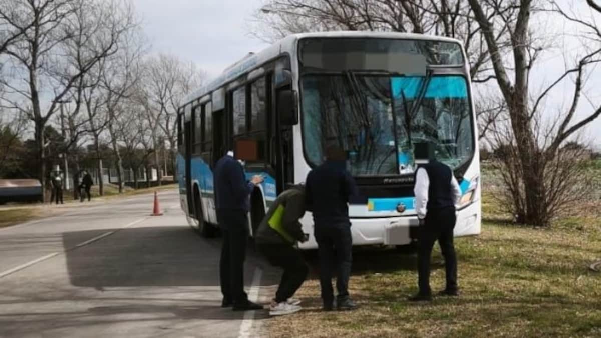 Murió un ciclista tras ser atropellado por un colectivo