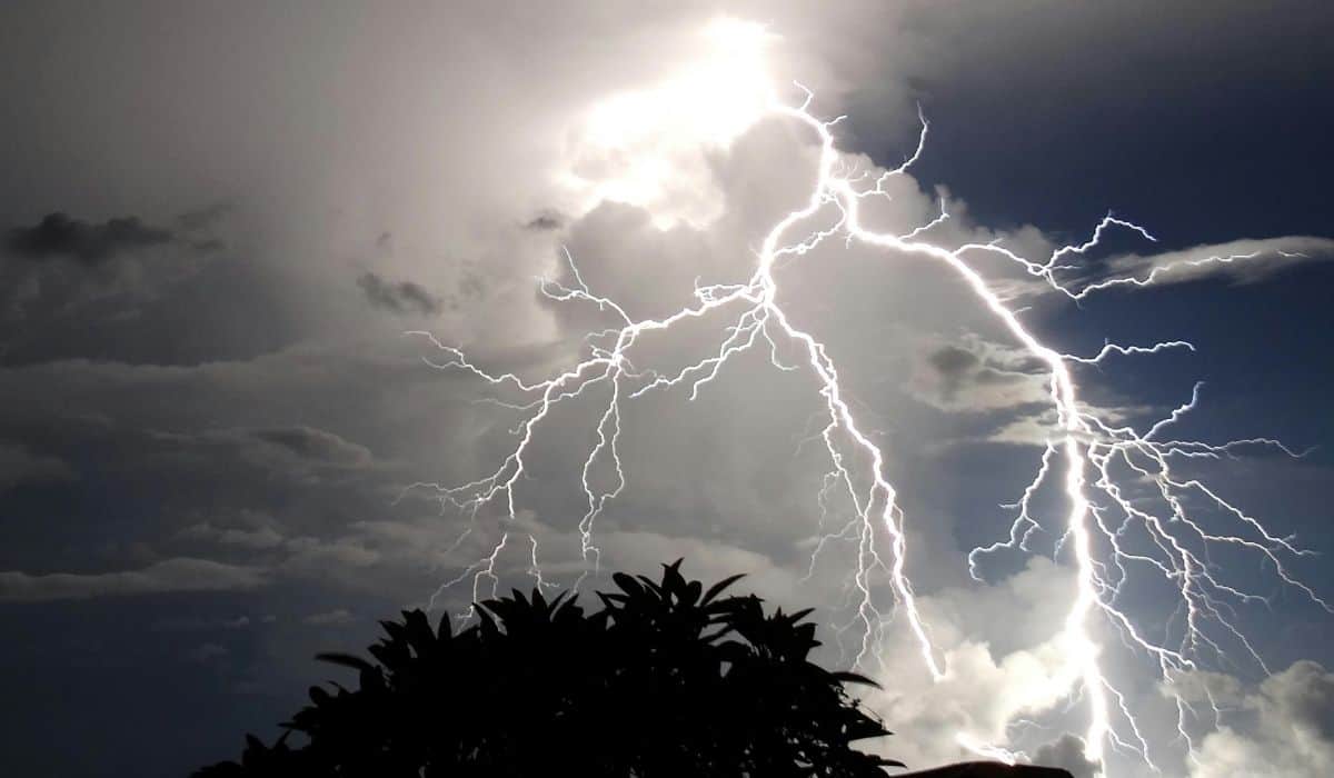 Alerta por lluvias y fuertes vientos en Córdoba: cuándo llega el frente frío