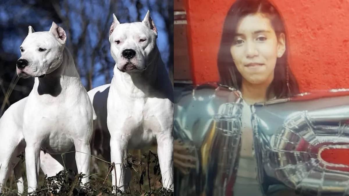 Dictan sentencia contra José Nieto, dueños de los dogos que mataron a Trinidad Ballesteros