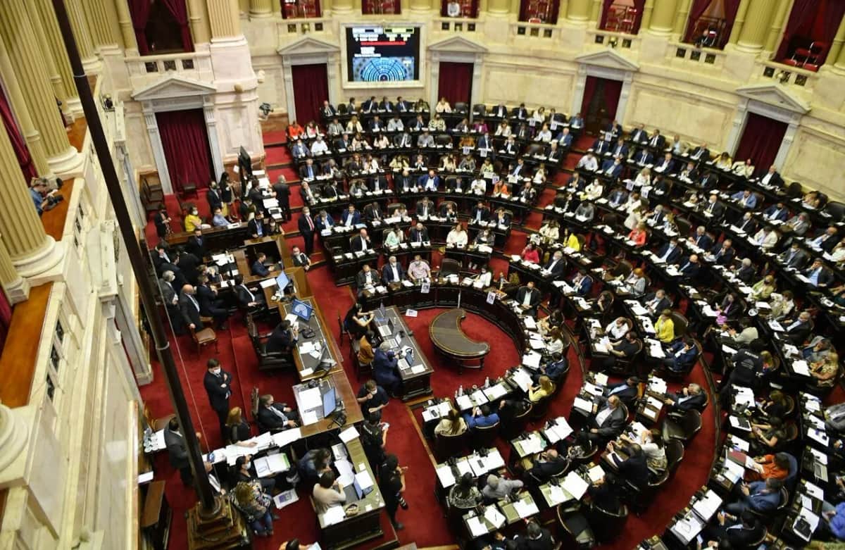 Diputados: la oposición busca tratar la morosidad familiar y la emergencia en discapacidad