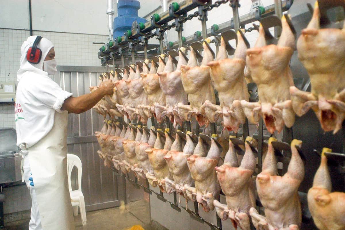 Granja Tres Arroyos ofreció pagar parte de los salarios con pollos
