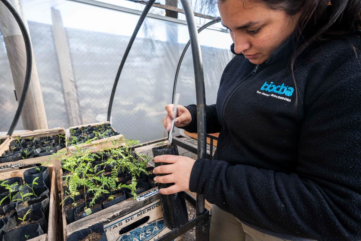 A cinco meses de su puesta en marcha, ya produce cerca de 8 mil ejemplares de flora nativa
