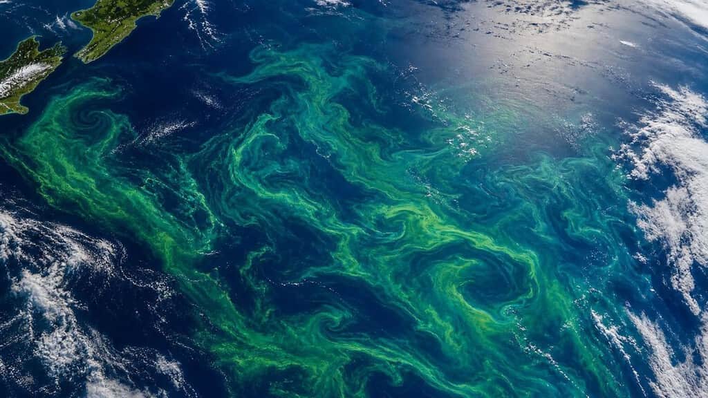 La NASA ha detectado una mancha verde gigante desde el espacio en Nueva Zelanda. Y no es contaminación ni un fallo de imagen