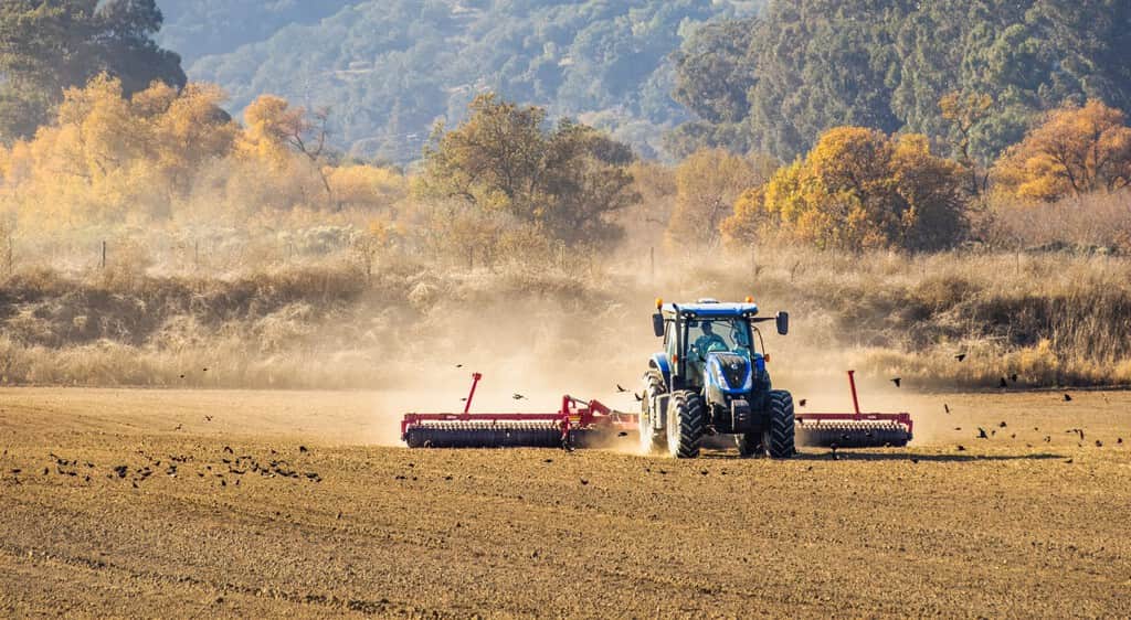 La corriente del Atlántico podría cambiar algo más que el clima: también pondría en jaque nuestra comida
