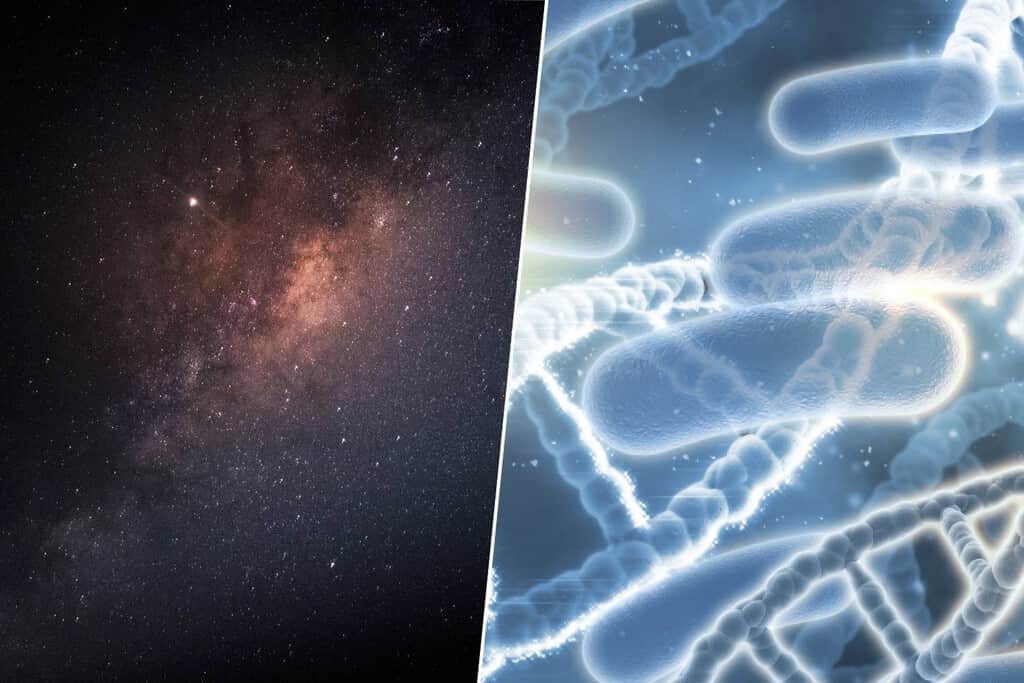 Margaret E. Kosal, profesora de asuntos internacionales: “El descubrimiento de vida extraterrestre no solo supondría un hito científico, sería un evento geopolítico”