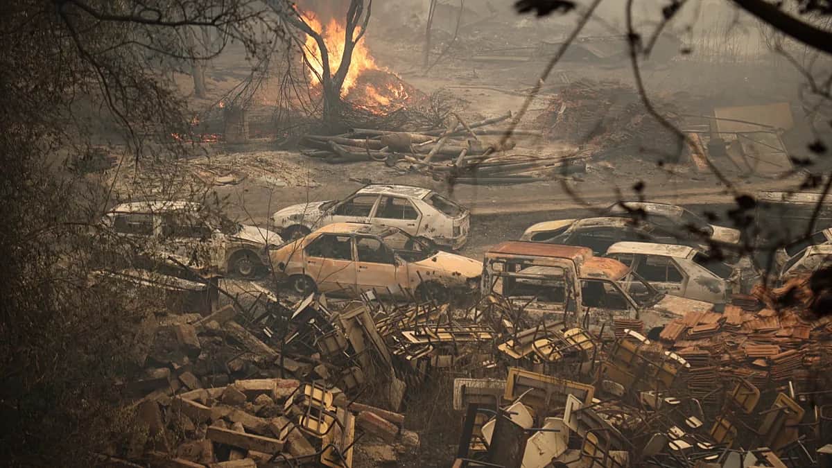 Incendios mortales arrasan el noreste de Argelia, el país decreta duelo nacional