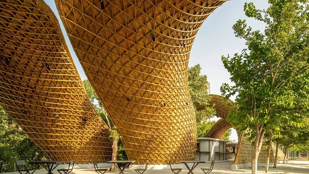 Techos que recogen lluvia y aire natural, arquitectos se inspiran en la naturaleza antes de premios