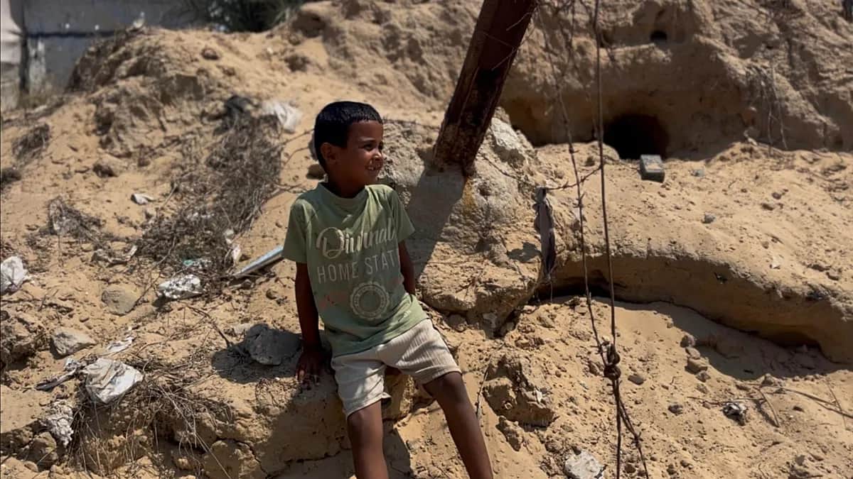 Serpientes y escorpiones invaden las tiendas de los desplazados en Gaza