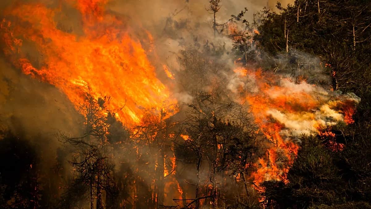 El Niño será "muy intenso" y durará hasta febrero, advierte la agencia climática de la ONU