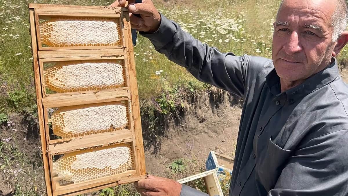 Conozca al apicultor que mantiene viva una tradición familiar de tres generaciones