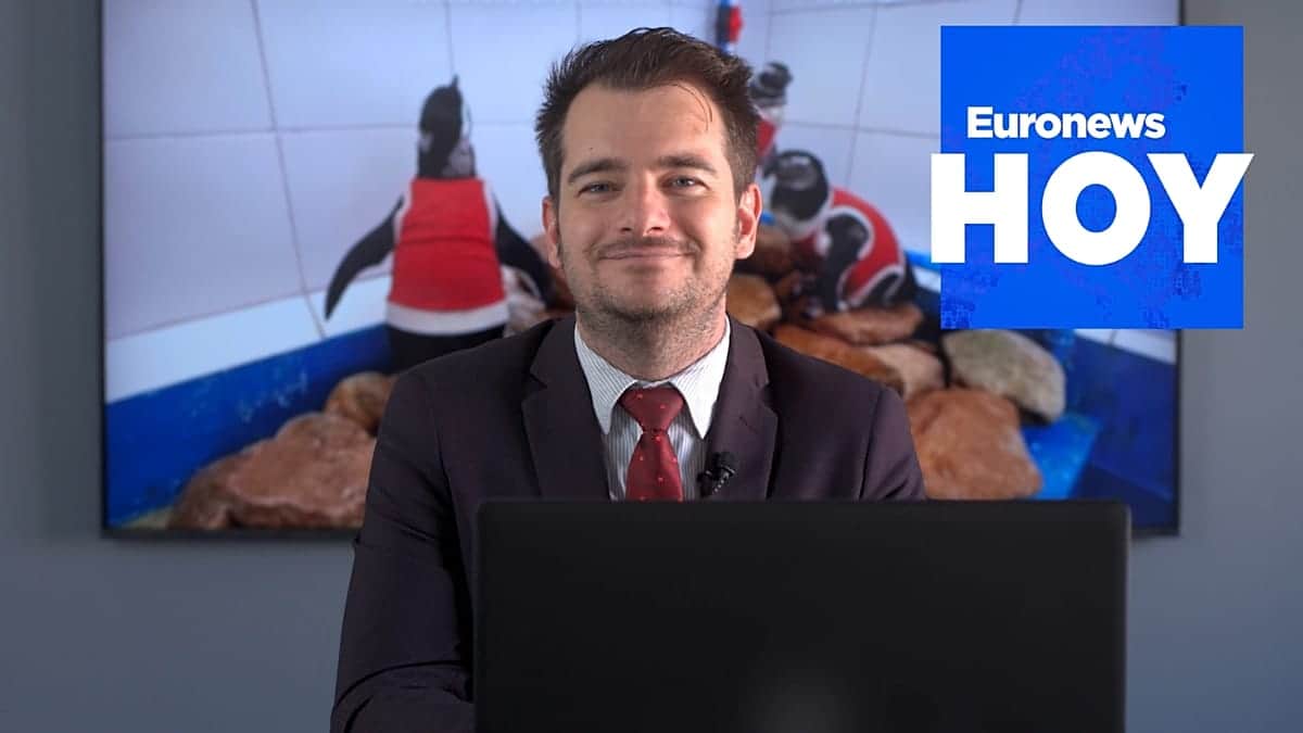 EURONEWS HOY | Las noticias del lunes 7 de septiembre de 2026: La ultraderecha arrasa en Sajonia-Anhalt
