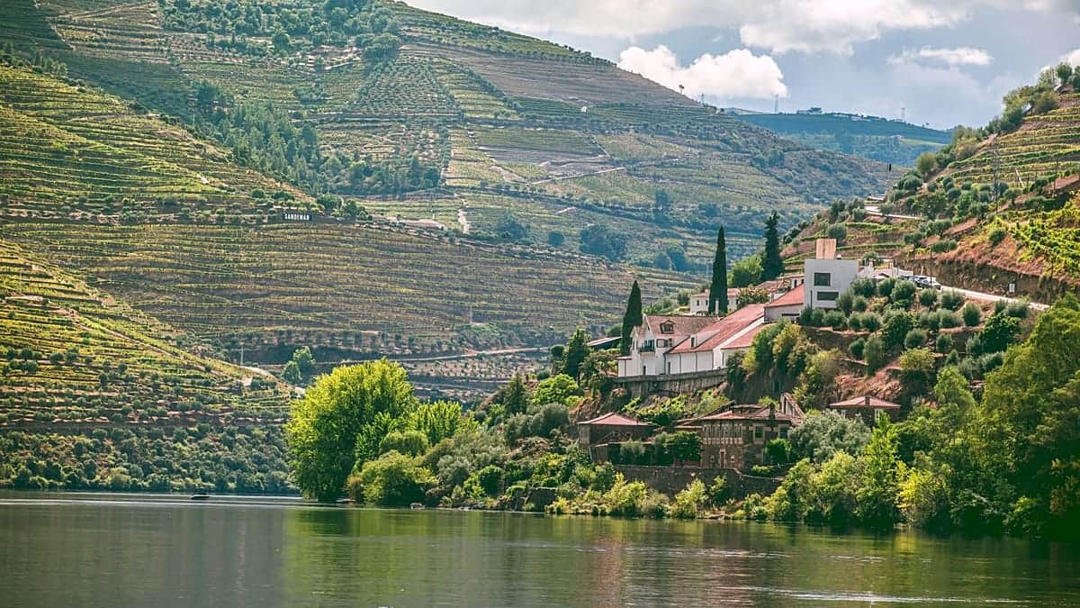 Los mejores tours gastronómicos y de bebida para viajar en 2026, según Tripadvisor