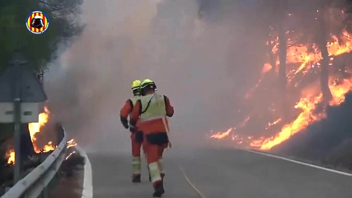 Gran incendio forestal en Valencia arrasa 690 hectáreas tras el verano más cálido