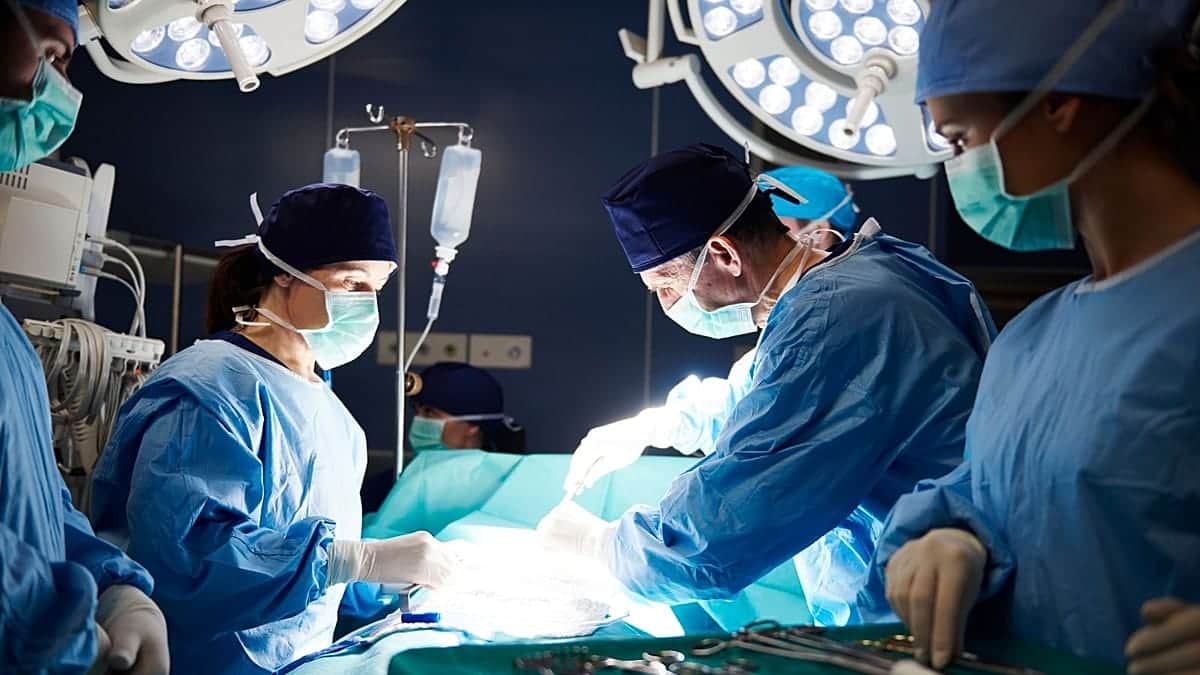 Quién merece un trasplante, la respuesta de la IA no coincide con la de los médicos