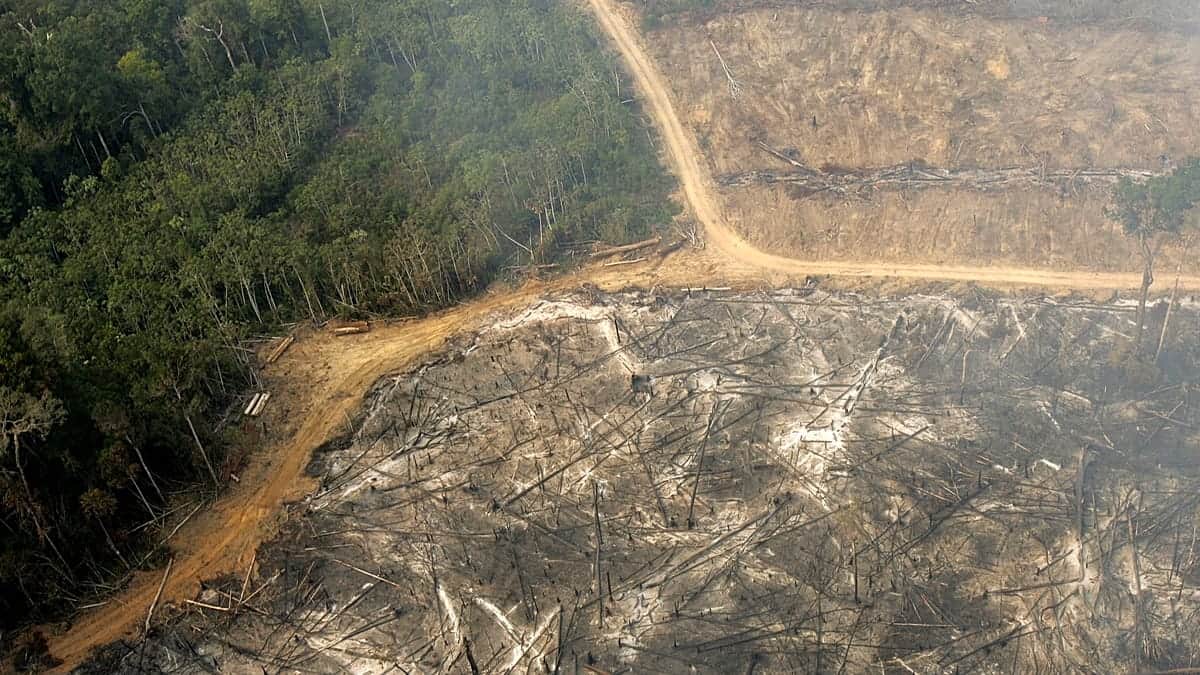 La presión aumenta, 7 de 9 límites planetarios ya están sobrepasados