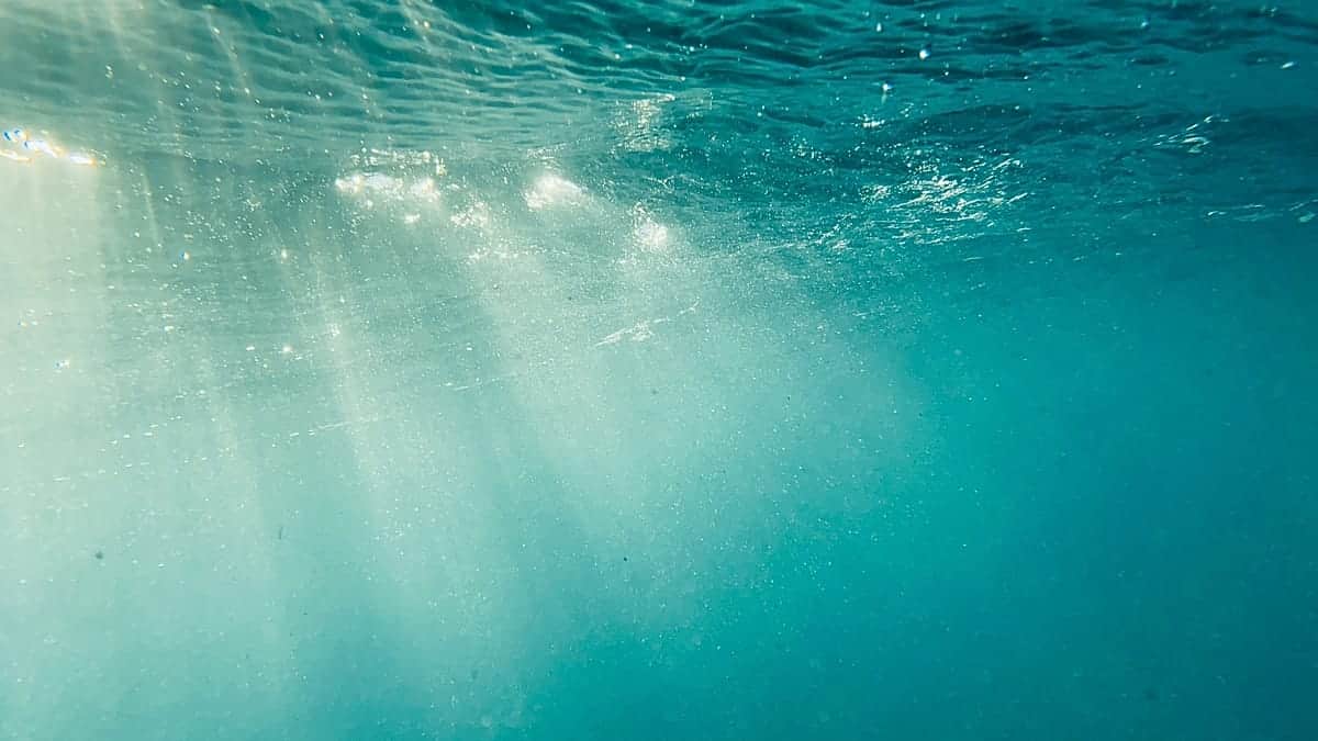 La energía solar funciona bajo el agua, científicos prueban paneles a 10 metros de profundidad