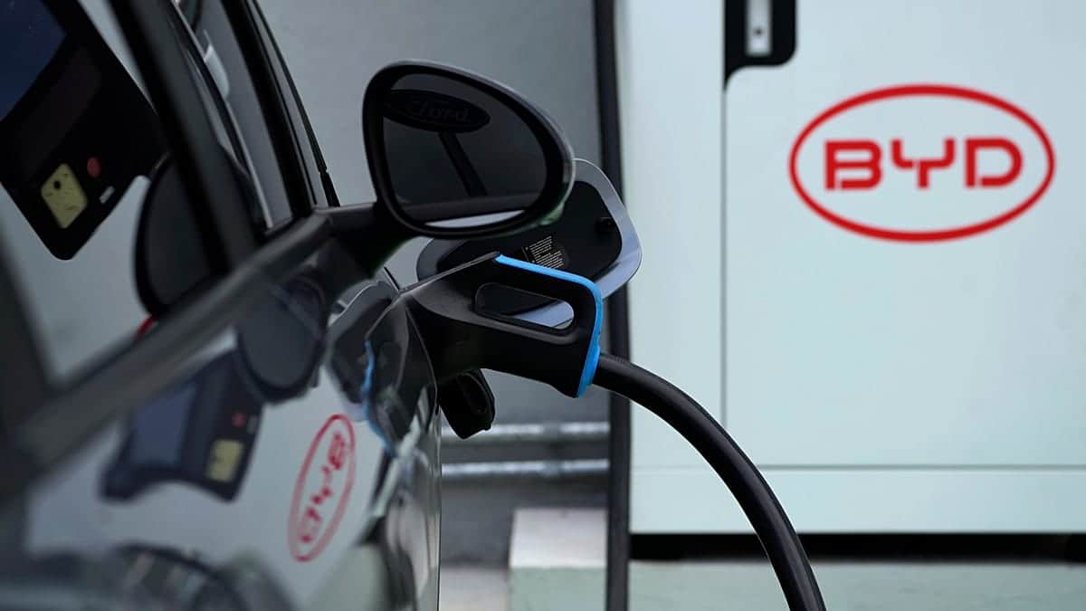 Viejas baterías de coches eléctricos, una mina de oro para que Europa no derroche sol y viento