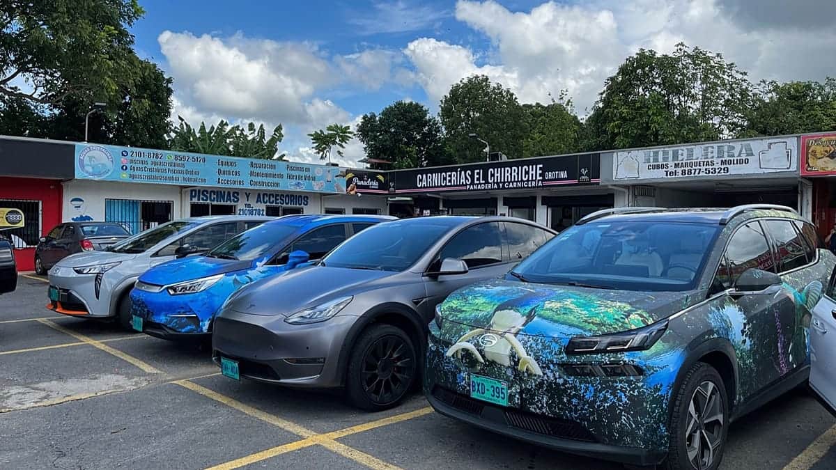 Por qué los noruegos compran más coches eléctricos chinos pese al creciente escepticismo