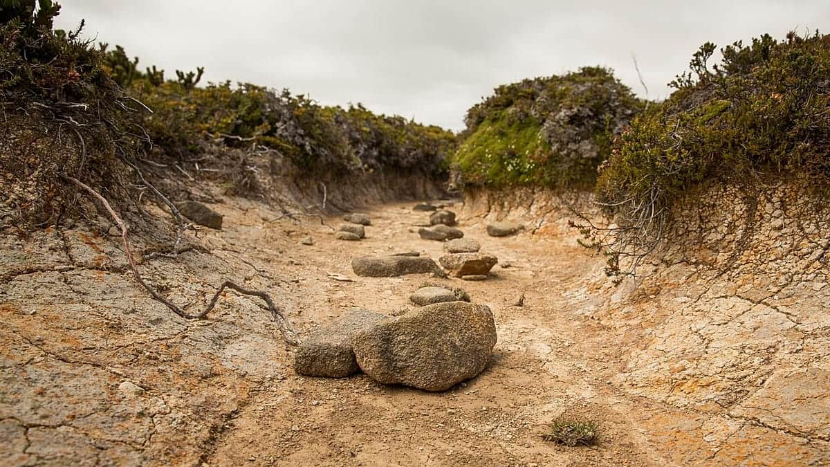 El Niño "Godzilla" será el más fuerte registrado, cómo prepararse