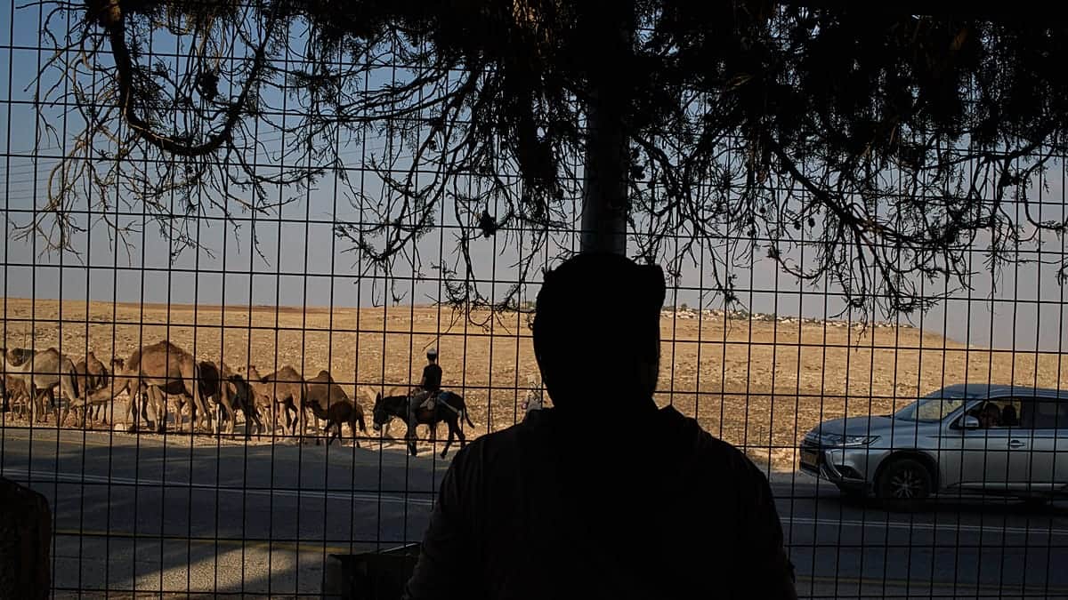 Los colonos israelíes se apropian de manantiales de agua en Cisjordania