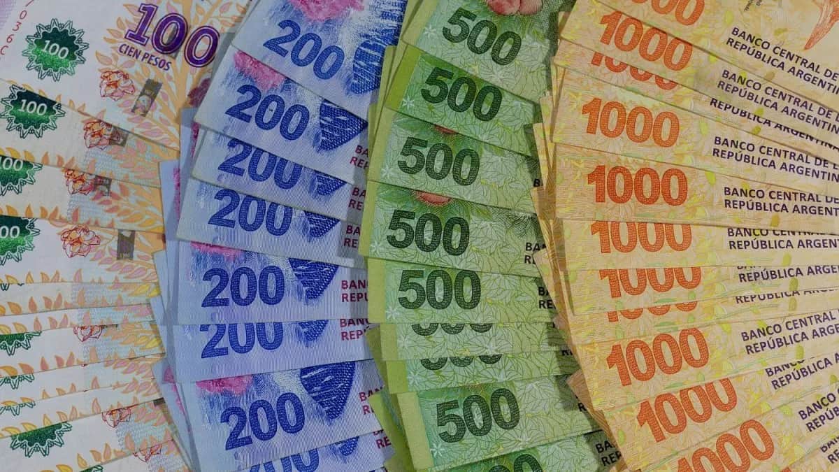 Los 4 FCI en pesos que más subieron en el año: la cobertura contra la inflación mantiene liderazgo