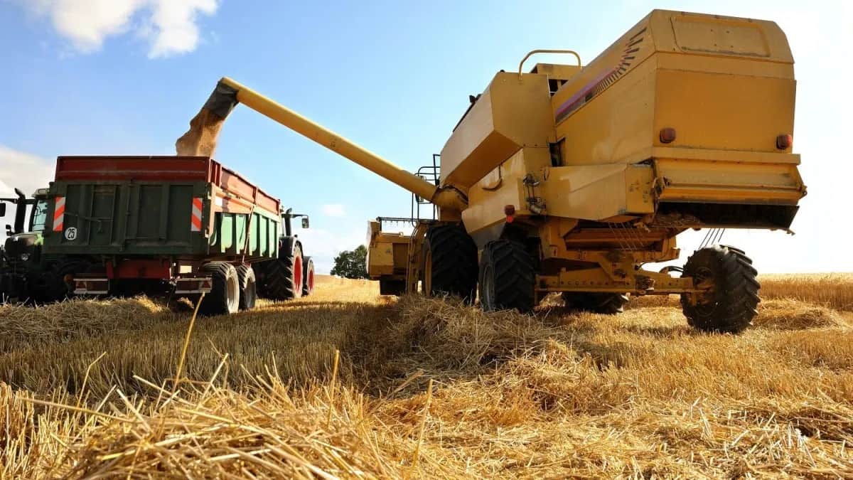 Chubut eximió del impuesto inmobiliario a productores ganaderos y prorrogó deudas de 2023 y 2024