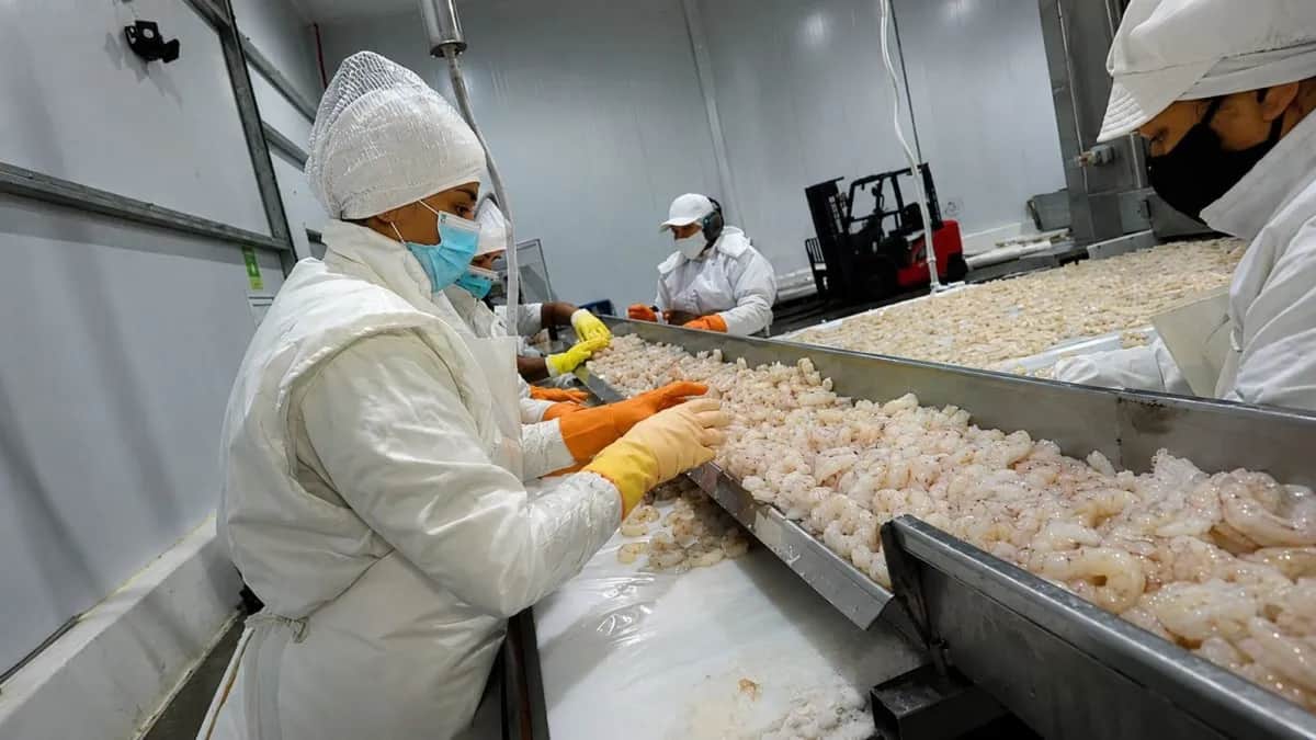 Acuicultura: el Senasa establece nuevas reglas de bioseguridad para la producción comercial de peces