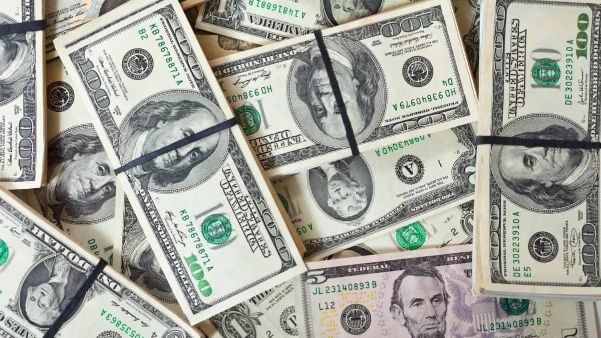 Plazo fijo en dólares: lo que ganás al invertir u$s2.000