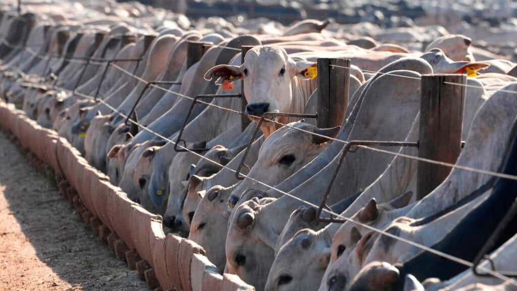 Brasil contempla medidas recíprocas ante suspensión de importaciones de la Unión Europea