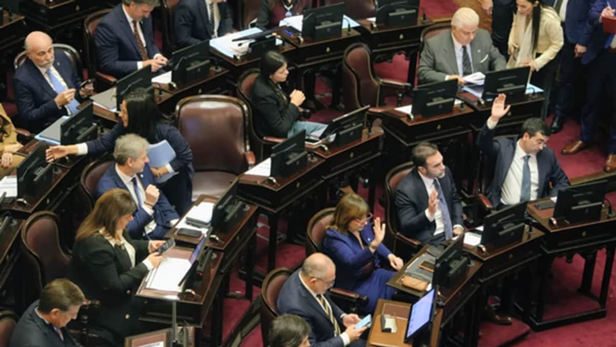 El Senado aprobó el proyecto de Inocencia Fiscal II y debate Biocombustibles