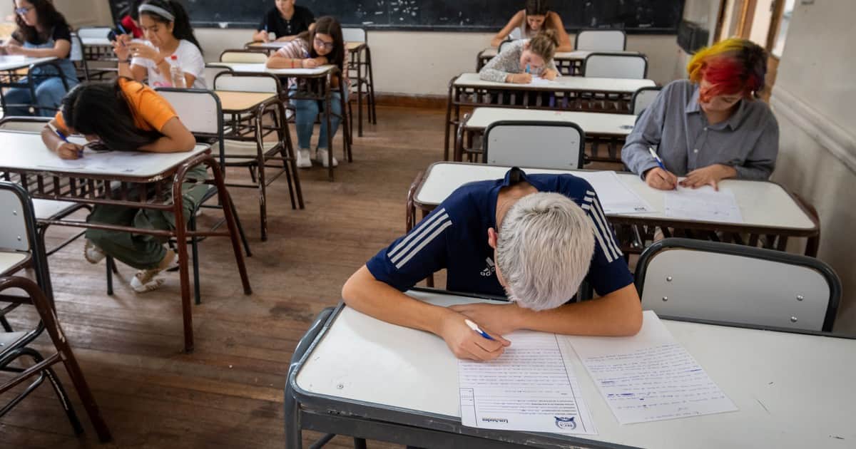 Fuerte caída de las capacidades cognitivas de los estudiantes argentinos: qué hay detrás del fenómeno