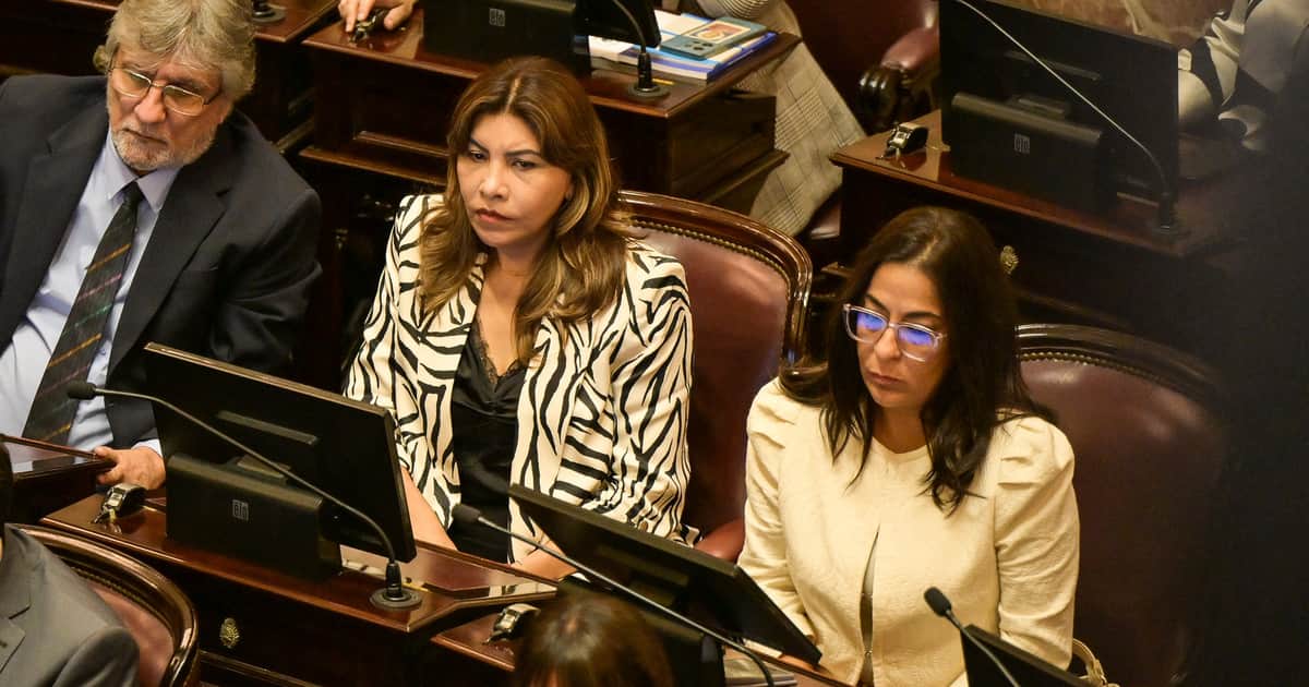 En medio de las críticas al proyecto oficial, el Senado debate la creación de una comisión por Malvinas